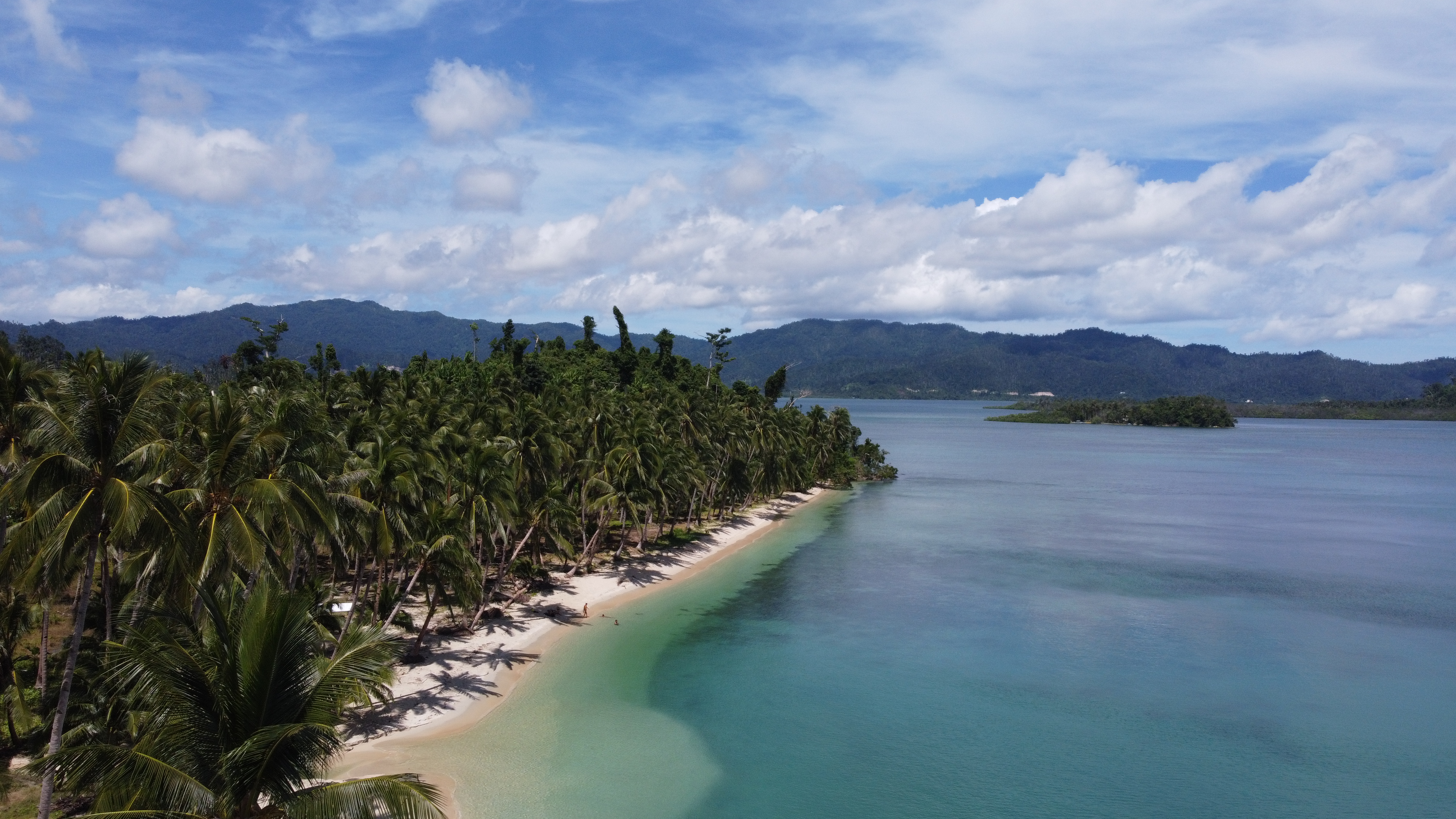 Coconut Beach in Port Barton